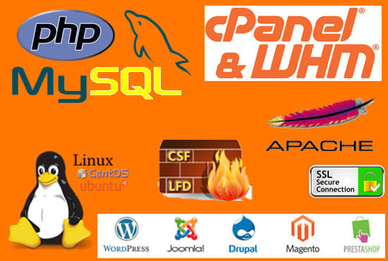 give support cpanel whm dns csf ssl sql php en espanol